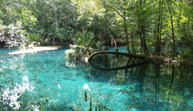 Silver Springs Shores, FL